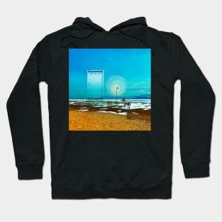 January Daydream Hoodie